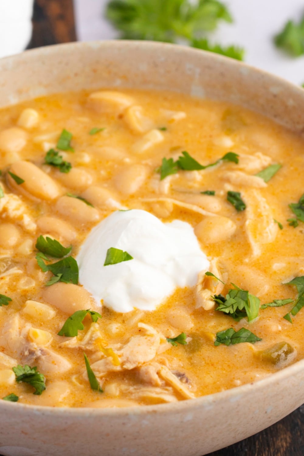 Closeup of a bowl of white chicken chili with white cream on top. 